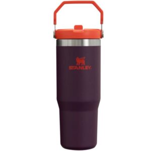 Stanley The IceFlow™ Flip Straw Tumbler | 30 OZ
