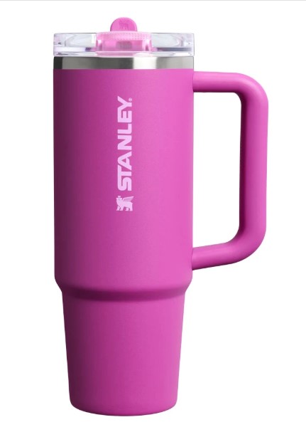 Stanley Quencher ProTour Flip Straw Tumbler-30 OZ.-Violet